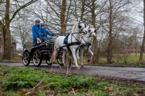 oefenmarathon 2016 MG 3404-3404 